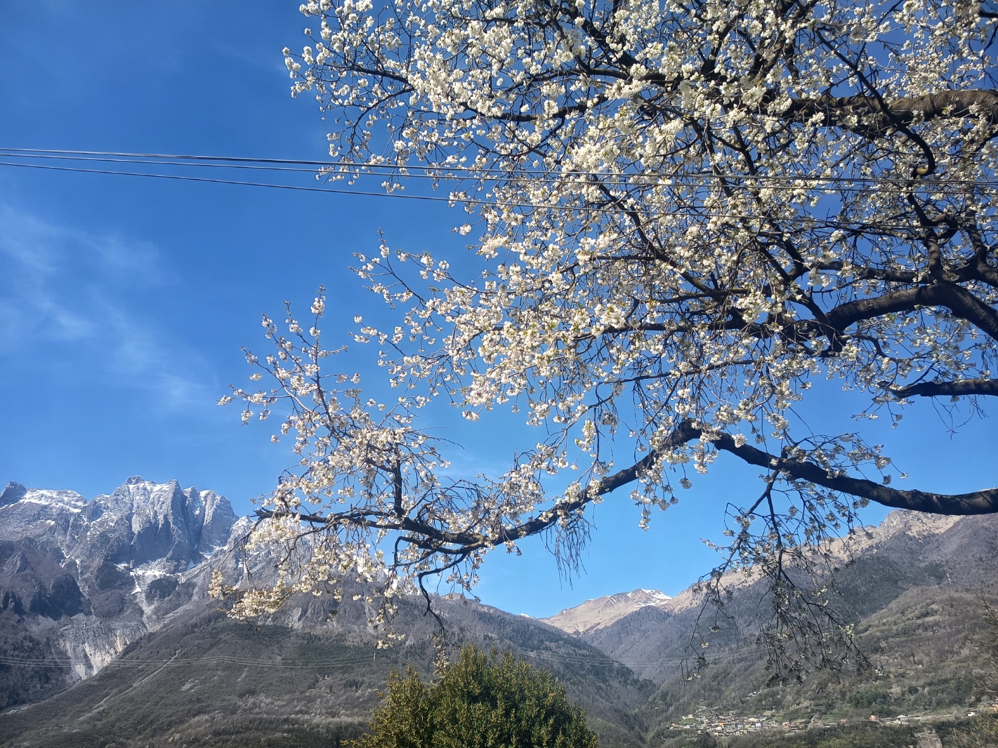 5 aprile 2026. Naquane, parco delle incisioni rupestri.